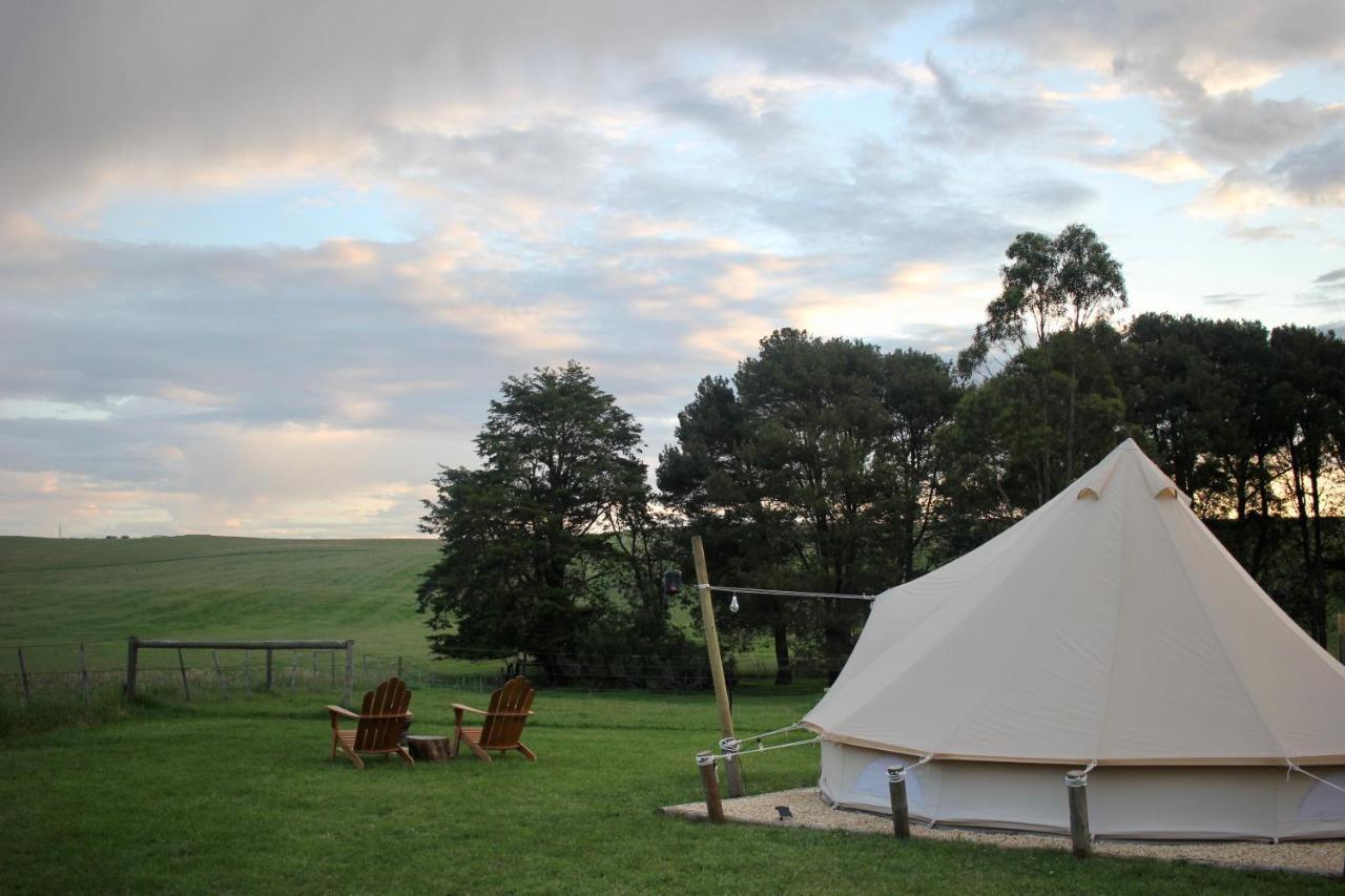 Pine Country Caravan Park Mount Gambier Exterior foto
