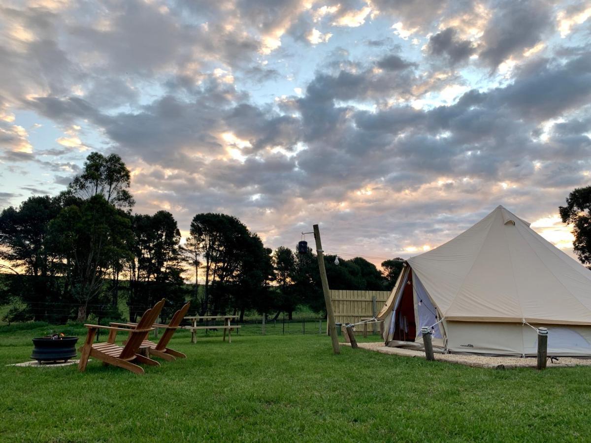 Pine Country Caravan Park Mount Gambier Exterior foto